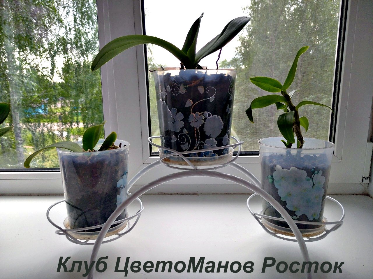 металлическая декоративная подставка для растений на окно. Фото N2