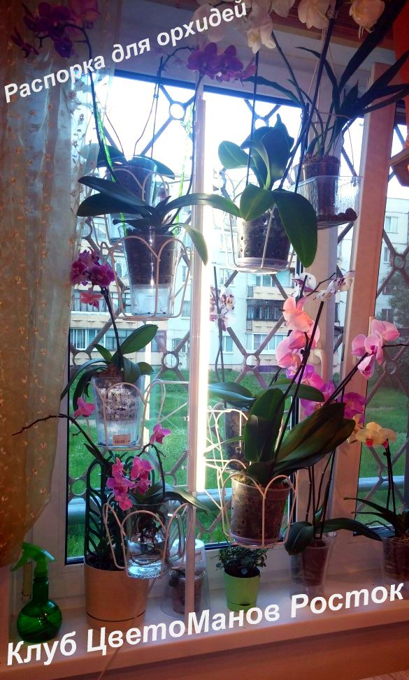 распорная подставка для орхидей на подоконник. Фото N8