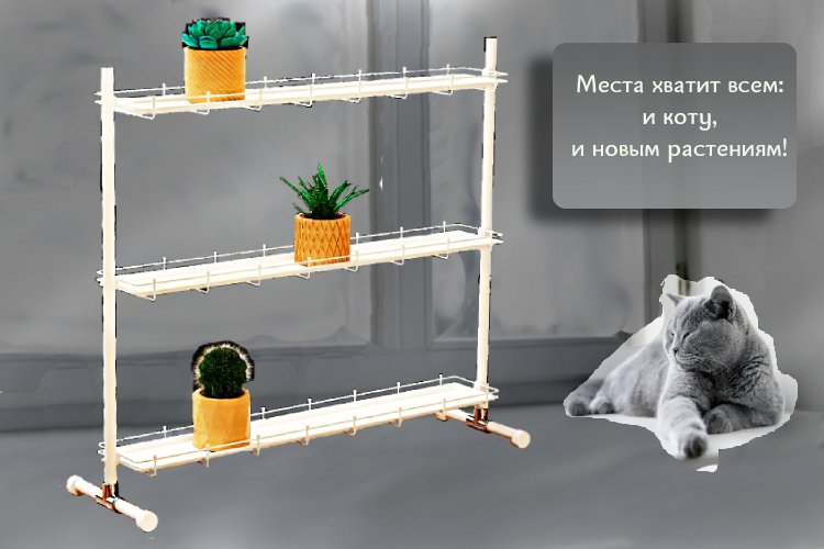 Кедр-мини на ножках . Фото N5