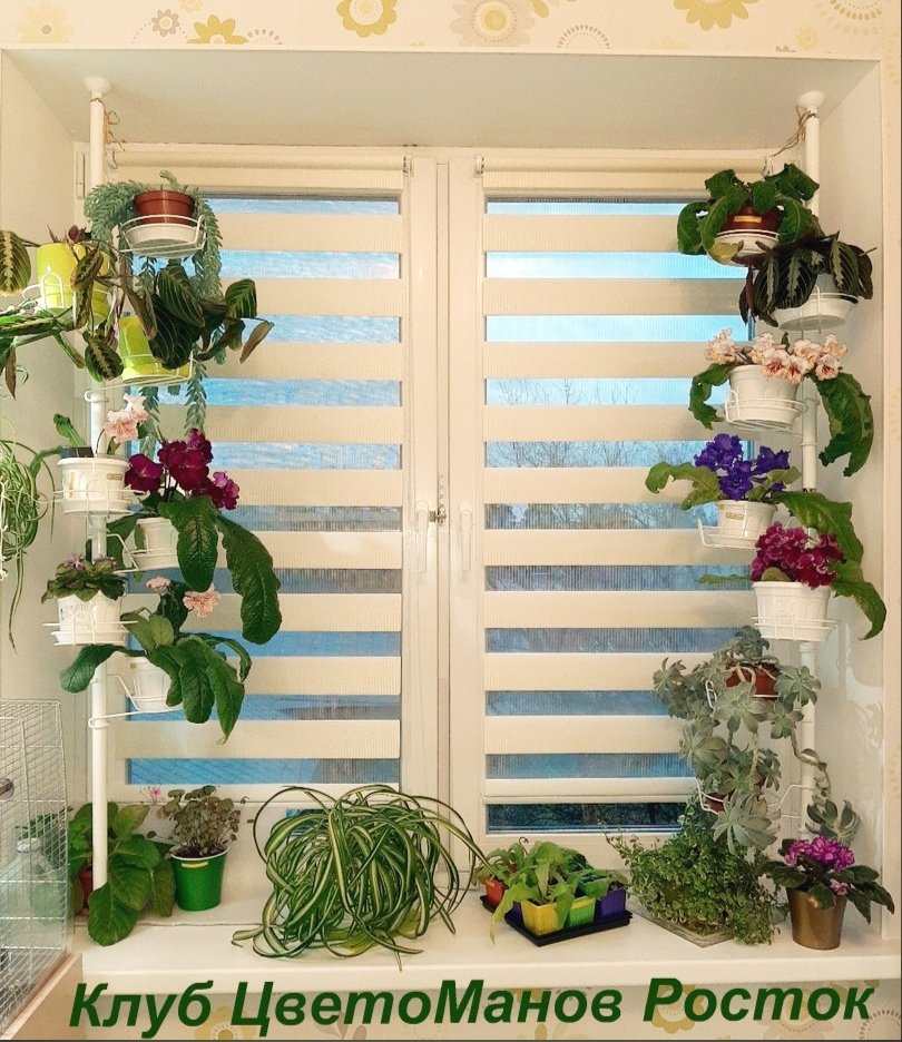 подставка для растений на окно вместительная. Фото N8