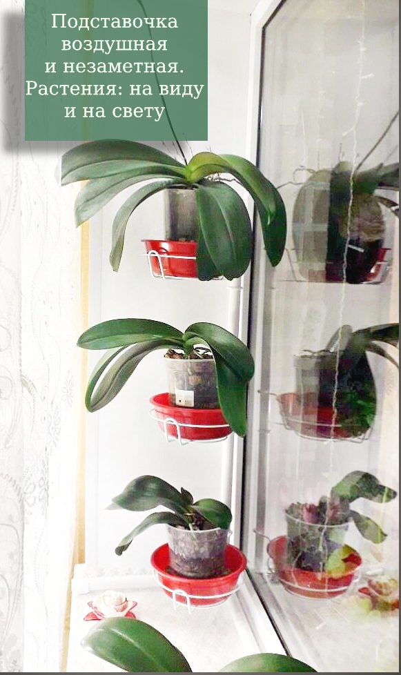 разборная подставка для цветов угловая на подоконник. Фото N20