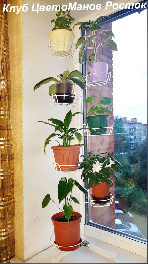 подставка на окно угловая металлическая с ножками. Фото N39