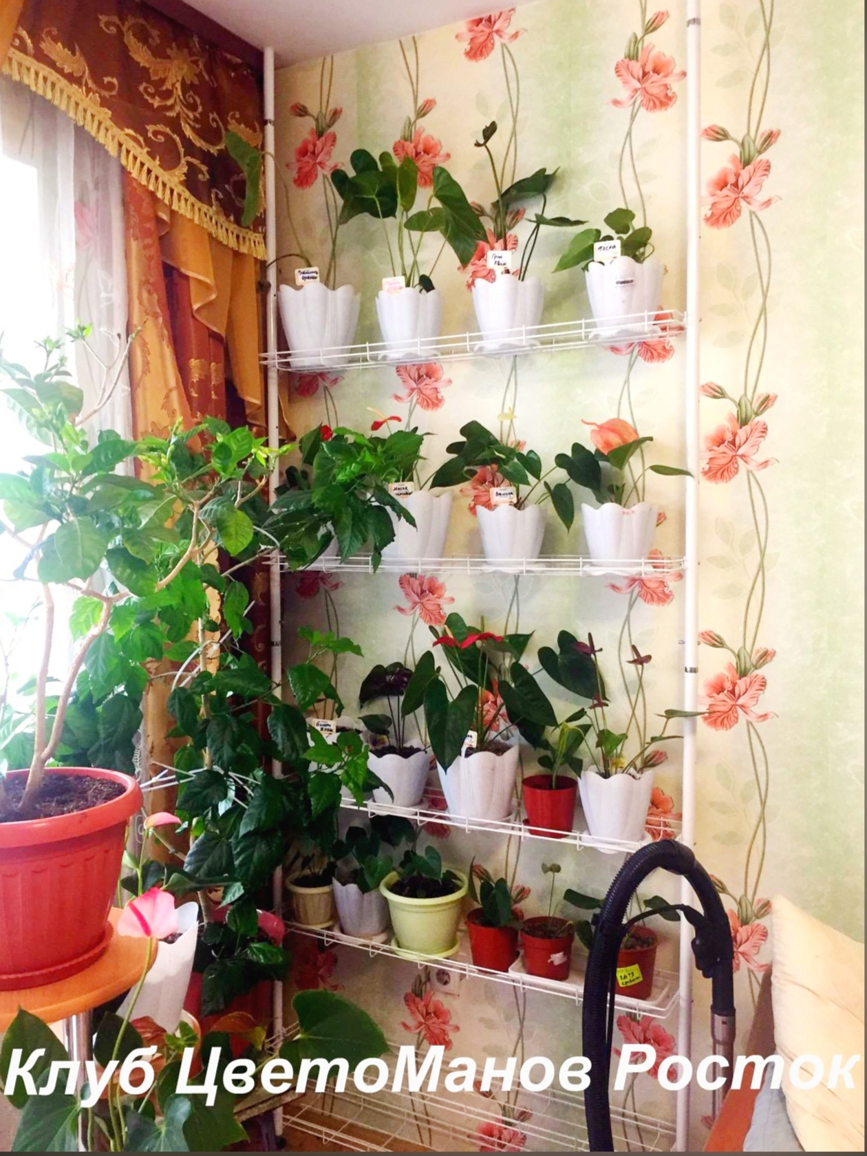 напольный металлический распорный стеллаж для цветов. Фото N6