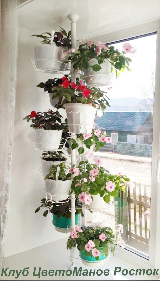 подставка для растений на окно вместительная. Фото N4