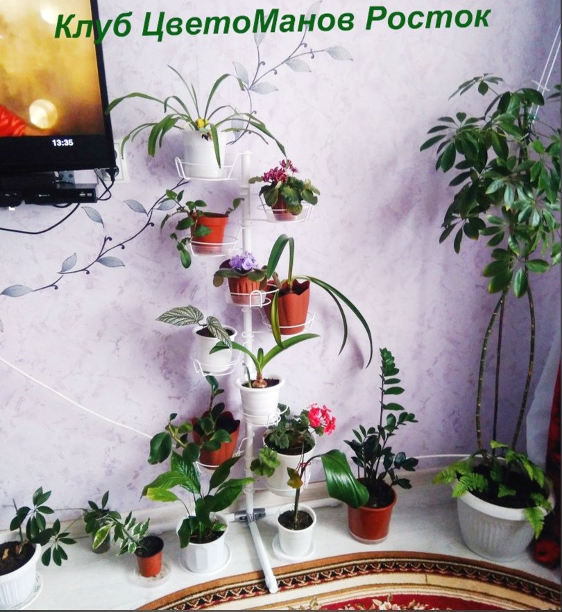 напольная подставка для цветов разборная металлическая. Фото N6