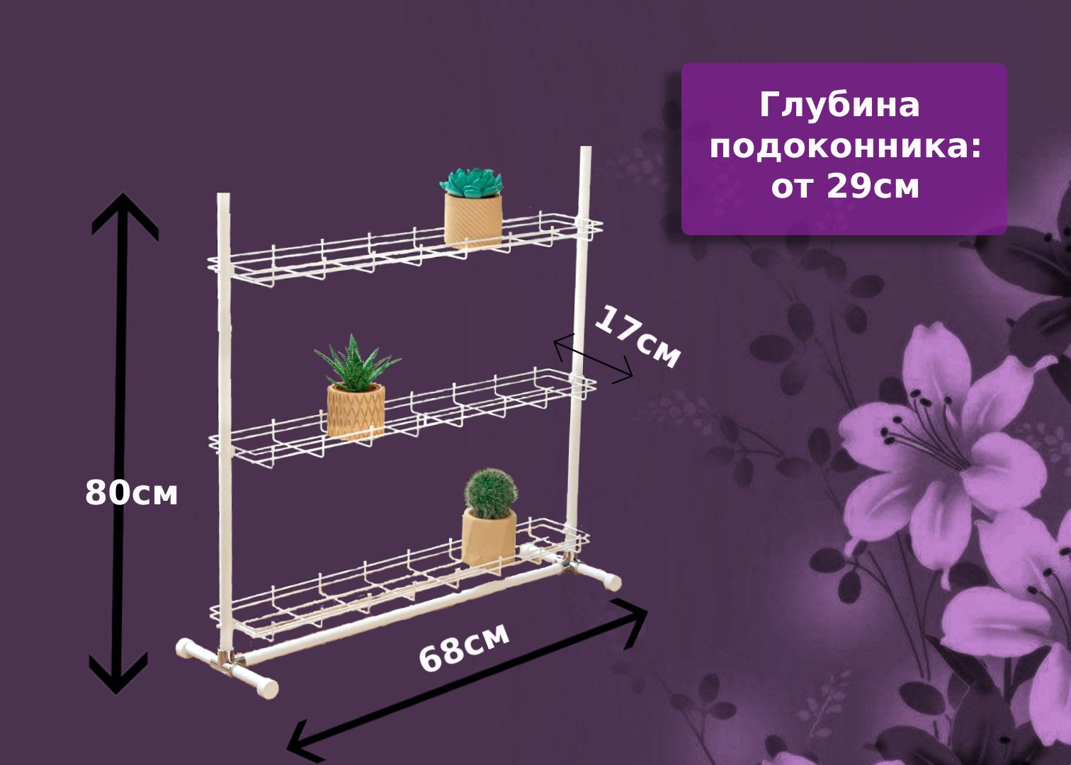 Кедр-мини на ножках . Фото N13