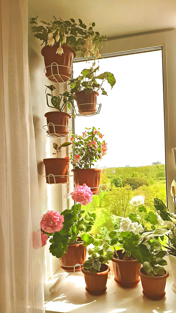 подставка на окно угловая металлическая с ножками. Фото N14