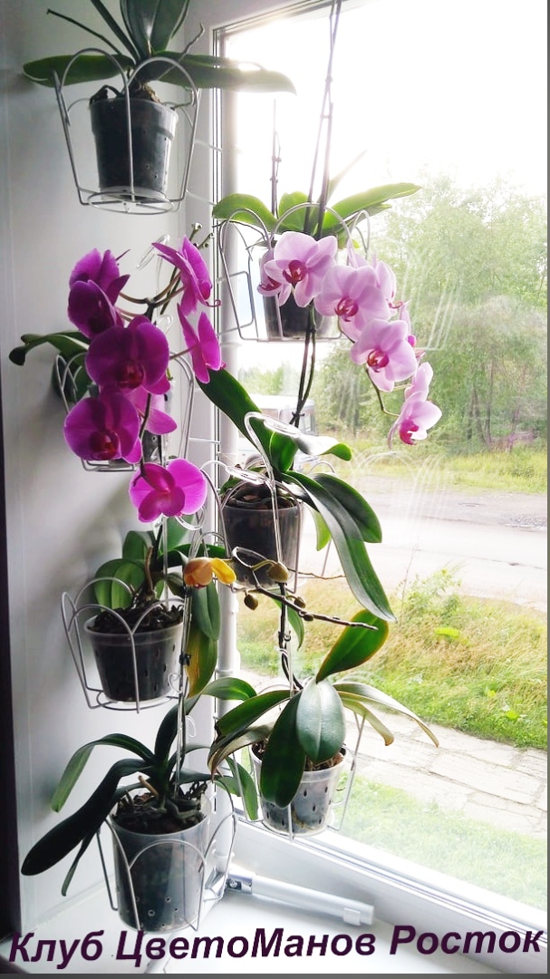 подставка на окно угловая металлическая с ножками. Фото N26