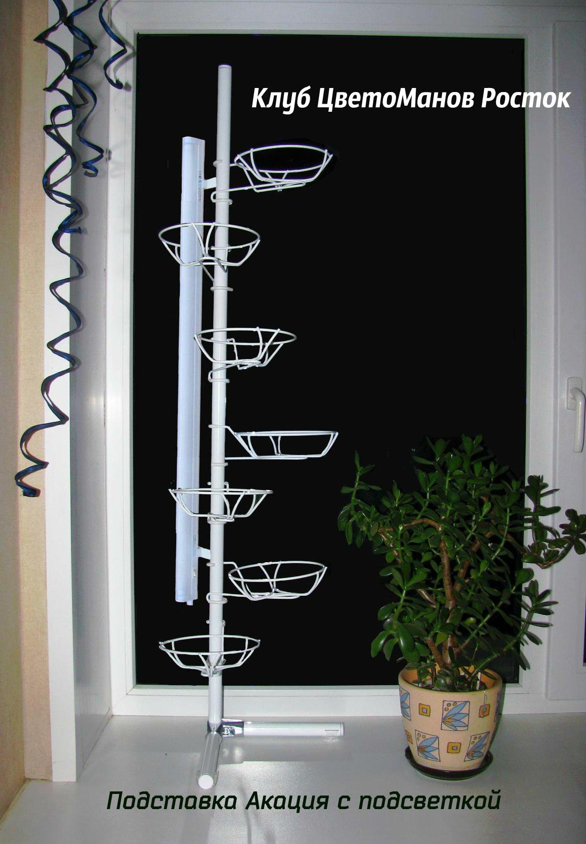 Угловая оконная подставка Акация на 7 горшков(Березка) с подсветкой