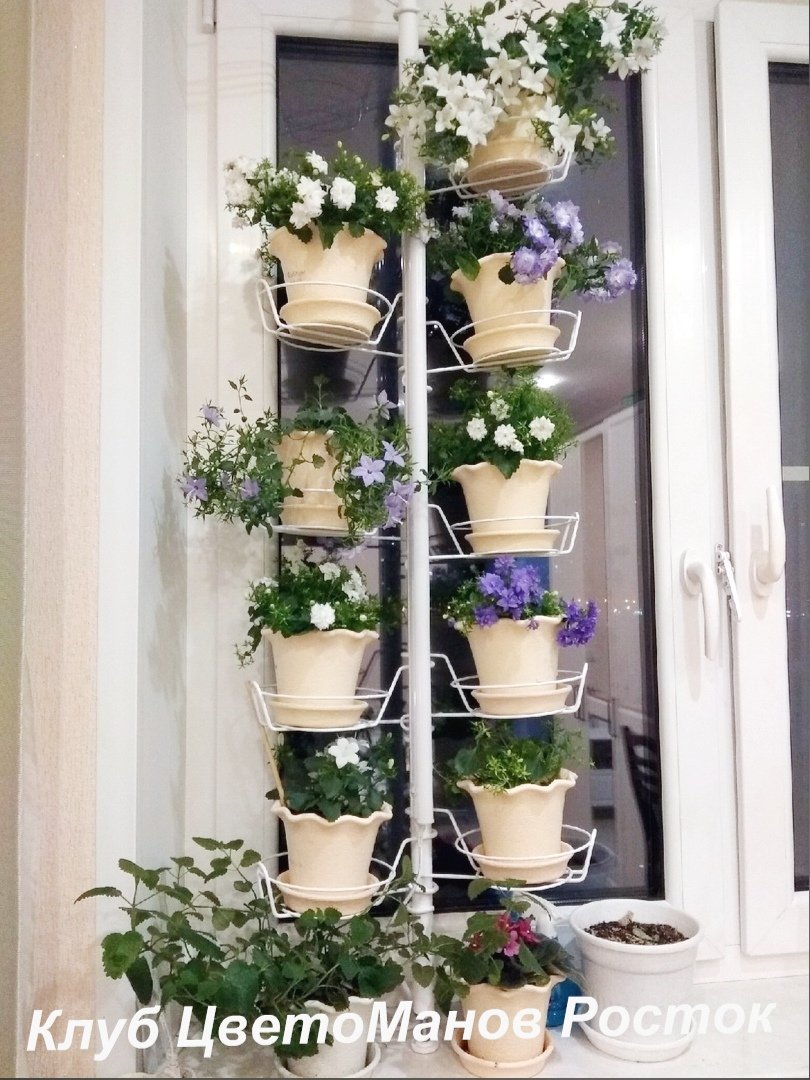 подставка для растений на окно вместительная. Фото N3