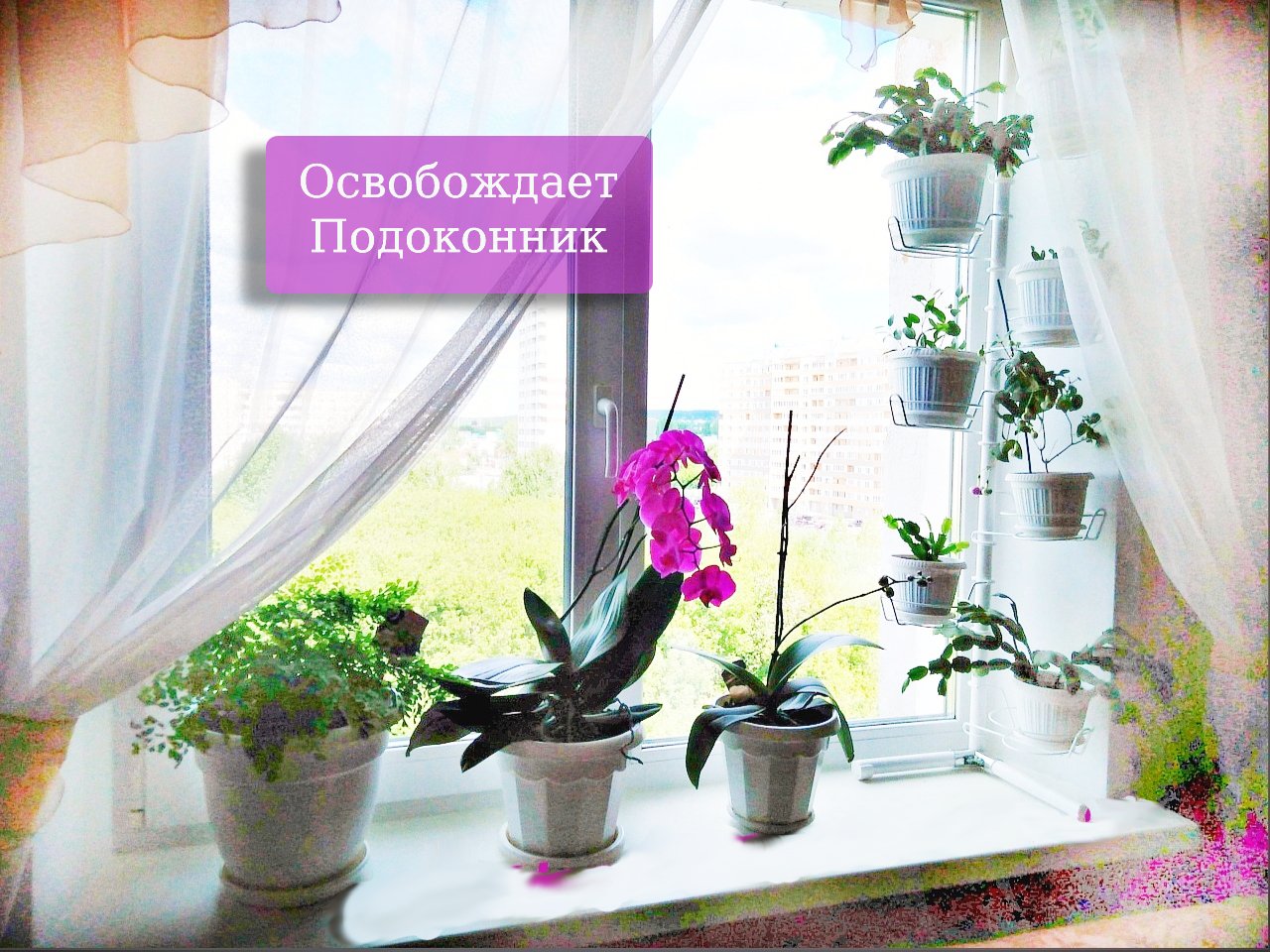 разборная подставка для больших растений. Фото N8