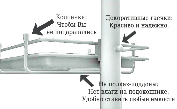Кедр-мини на ножках . Фото N3