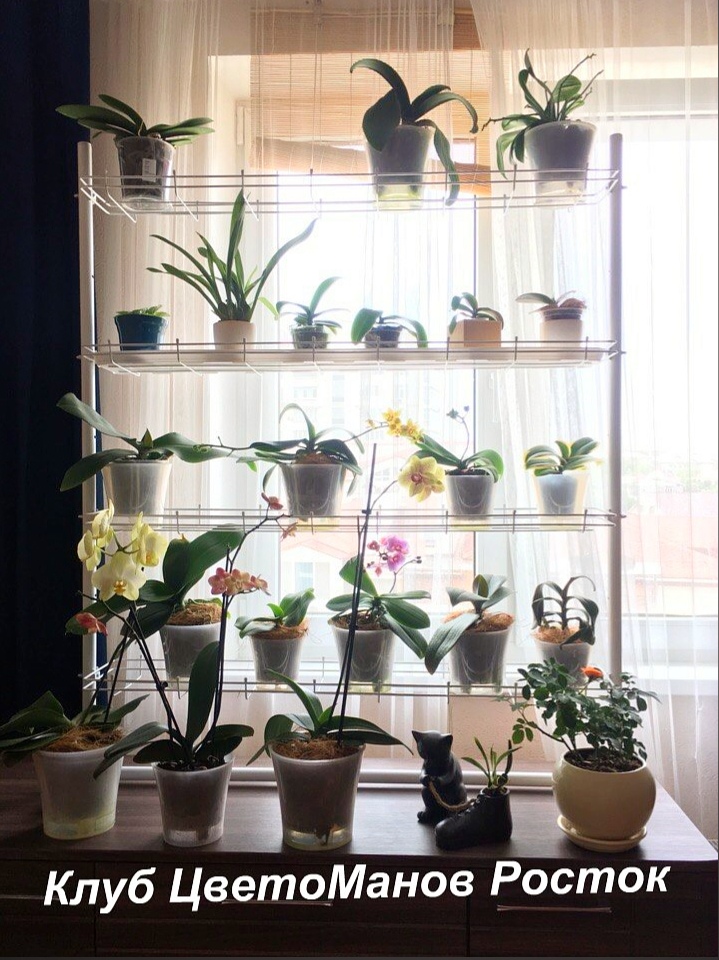разборный стеллаж на подоконник для растений и рассады. Фото N17