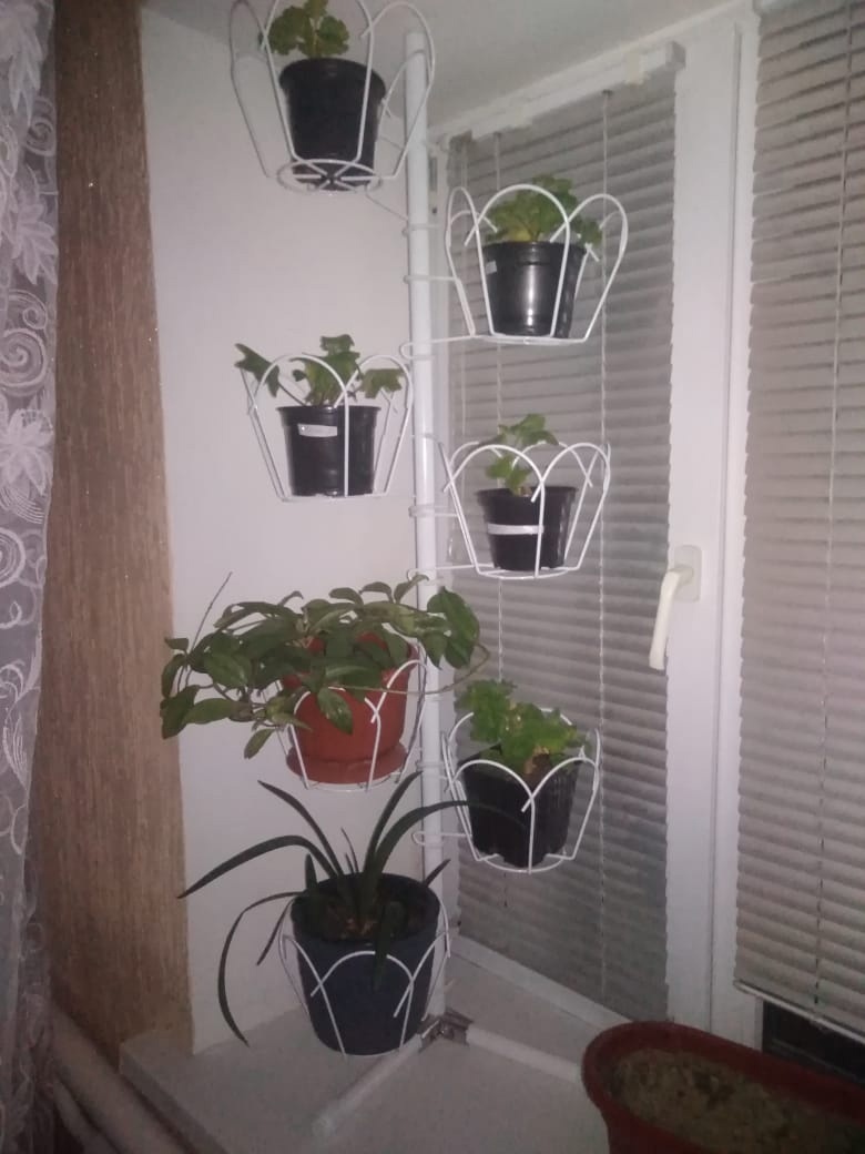 подставка на окно угловая металлическая с ножками. Фото N21