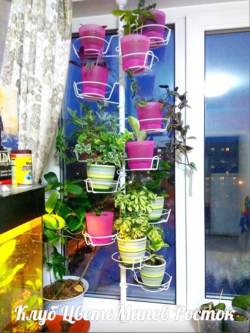 подставка для растений на окно вместительная. Фото N5