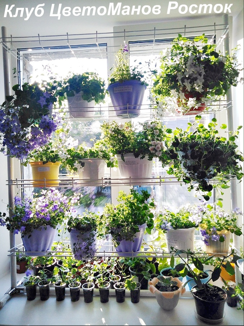 разборный стеллаж на подоконник для растений и рассады. Фото N19