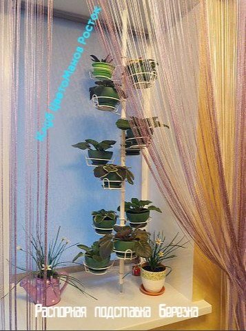 распорка металлическая для растений на окно. Фото N21